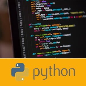 Ilustrasi Basic Python Programming (Beginners)