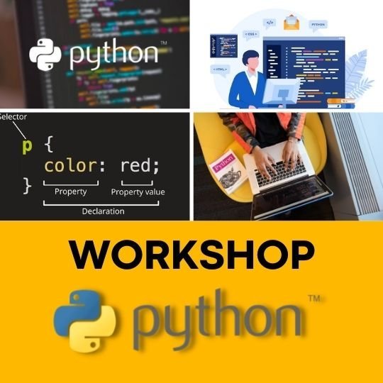 Ilustrasi Workshop Python-Beginner